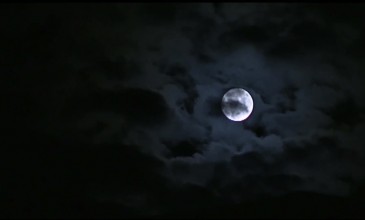 In Your Wildest Dreams