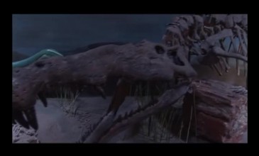 Mysterious Creatures of the Southwest