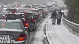 ParaShorts – Conspiracy Theories Part Two