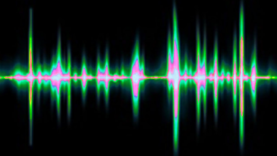 Back to the Woods with the Team