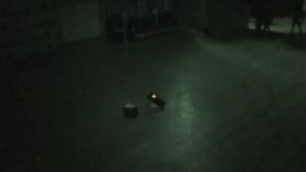 Scugog Shores School House Orbs