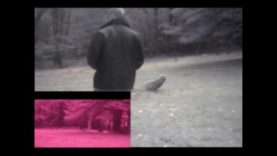 Unnamed Cemetery Part 1