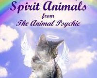 Video Playlist of The Animal Psychic Jackie Weaver at veryparanormal.com