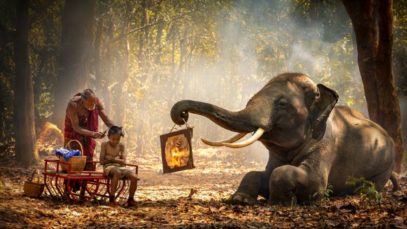 dreamstime_s_156045919