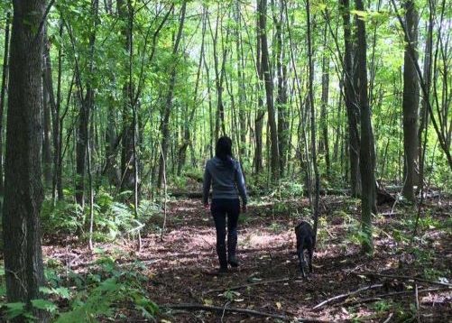 karen walking