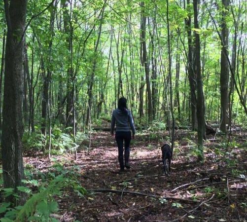 karen walking