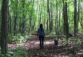 karen walking