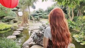 Pureland Japanese Garden1