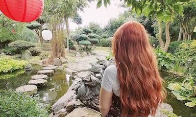 Pureland Japanese Garden1