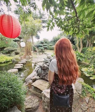 Pureland Japanese Garden1