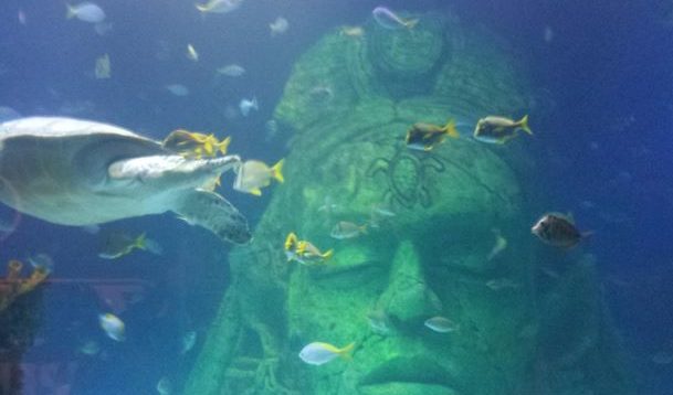 atlantis my photo