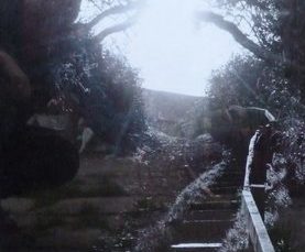 jans-photo-into-the-light-514×640