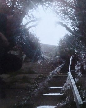 jans-photo-into-the-light-514×640