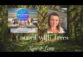 Spirit Sessions View of the Light S4E8 Council with Trees with Keria Lani