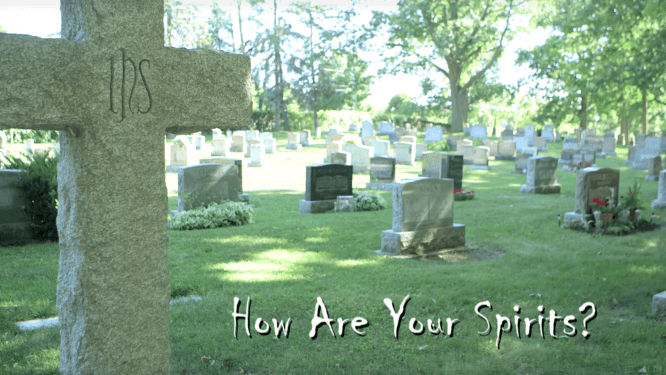 how are your spirits