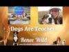 SPIRIT SESSIONS A VIEW OF THE LIGHT S4-E38 Dogs are Teachers with Renee Wild