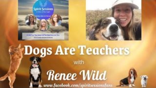SPIRIT SESSIONS A VIEW OF THE LIGHT S4-E38 Dogs are Teachers with Renee Wild
