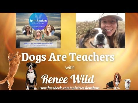 SPIRIT SESSIONS A VIEW OF THE LIGHT S4-E38 Dogs are Teachers with Renee Wild